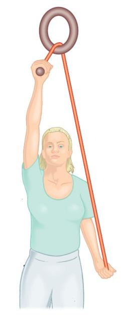 Twisting outwards / arm overhead Lying on your back, knees bent and feet flat Place hands behind neck or head, elbows up to