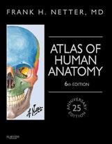 Coloring Book, 2nd Edition ISBN: 978-0-323-18798-5 Patton & Thibodeau Anatomy