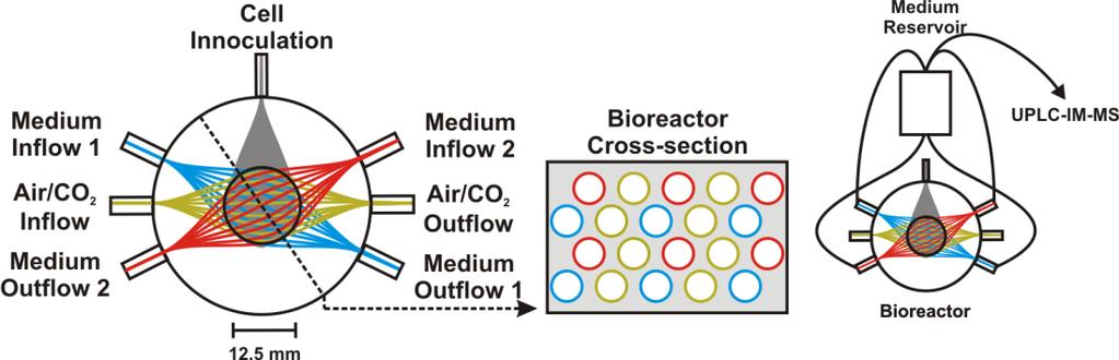 Figure 3.1. Configuration of artificial capillaries inside the bioreactor. The capillary bed consists of four capillary layers arranged on top of each other.