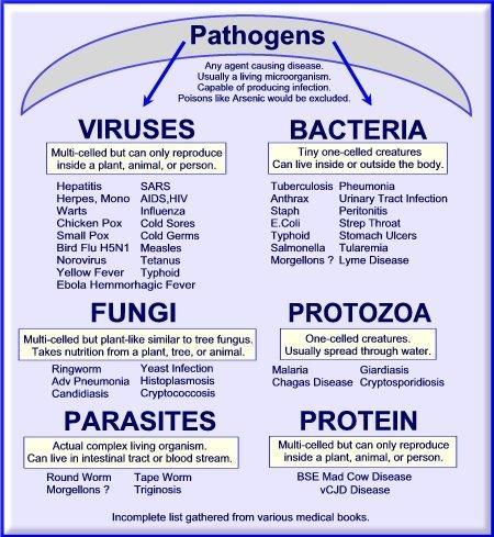 Some Causes of Disease Living organisms which cause disease are