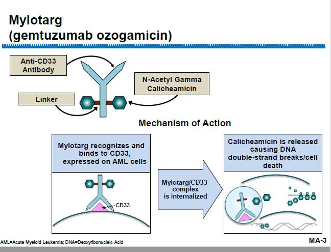 Targeted Antibodies to AML Blasts: CD33 CD33 is on most AML blasts, but not on stem