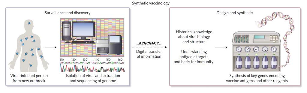 Emerging viral diseases from a vaccinology perspective: