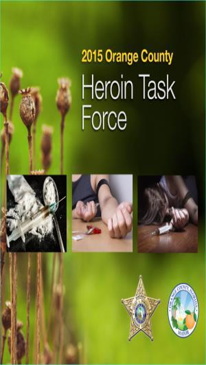 Orange County Heroin Task Force Implementation Update George