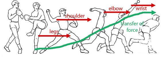 Power/Velocity comes from the kinetic chain Upper extremity musculature least important primarily accuracy and