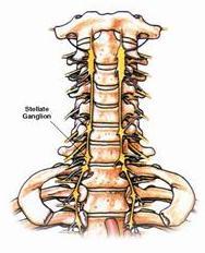 SYMPATHETIC BLOCKADE: Stellate ganglion injections and lumbar sympathetic blockade are used for complex regional pain syndrome and other pain conditions of the upper extremity and the lower
