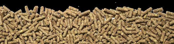 Pets Ol Jacks Premium Rabbit Pellets Ol Jacks Premium Rabbit Pellets are a nutritious and palatable food that is specially formulated for growing, breeding and lactating rabbits and is also an ideal
