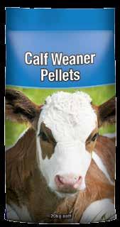 Milk can be withdrawn from 5 to 6 weeks of age if calves are consistently consuming 1kg to 1.5kg of Calf Starter Meal per day. From 3 to 6 months of age feed Calf Weaner Pellets.