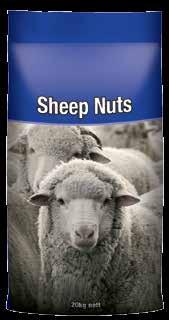 being fed. Generally Sheep Nuts would be fed between 0.5% to 2% of body weight per day along with ad lib. roughage.