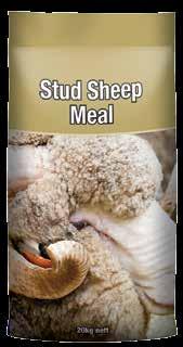 Sheep & Stock Stud Sheep Meal Stud Sheep Meal is formulated to be fed to sheep prior to sale or show to enhance condition and presentation.