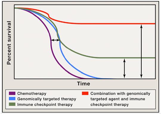 result of combination therapy Predictive biomarkers for the treatment