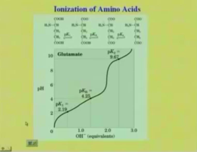 Suppose, I have come thing else, suppose I have Glutamate, what does Glutamate have now? It has an additional COOH to it. (Refer Slide Time: 47:10) So, what do I have at low ph now?