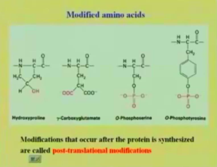 Now, these are some modified amino acids, which we just need to know the names of, considering that these amino acids are present in proteins, to some extent.