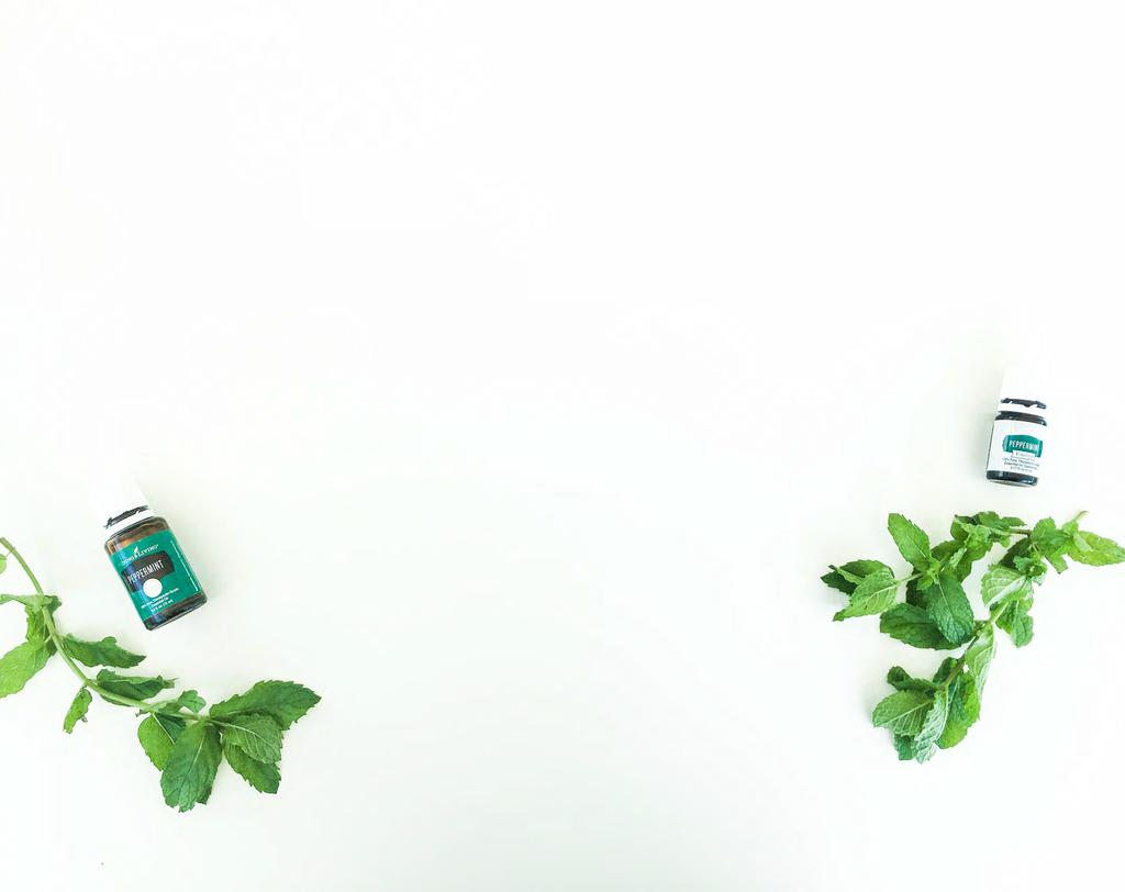 OIL PROFILE Peppermint Energize before workout, homework, or road trip. Use before a meal to suppress appetite.