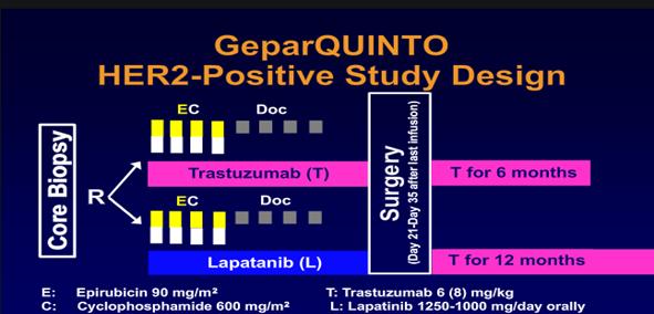 Neoadjuvant treatment in Her-2 positive EBC:GeparQuinto Phase 3