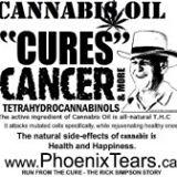 CBMs - Simpson Oil Rick Simpson Cannabis Oil Concentrated extract Naptha as solvent toxic residues olive oil to be