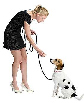 Operant & Classical Conditioning 2. Classical conditioning involves respondent behaviorthat occurs as an automatic response to a certain stimulus.