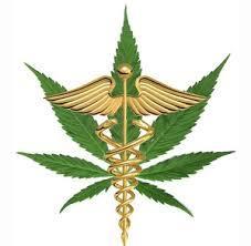 Cannabis? Process (1): Who Can Provide Certification? Two important concepts to understand: Medical provider does NOT prescribe.