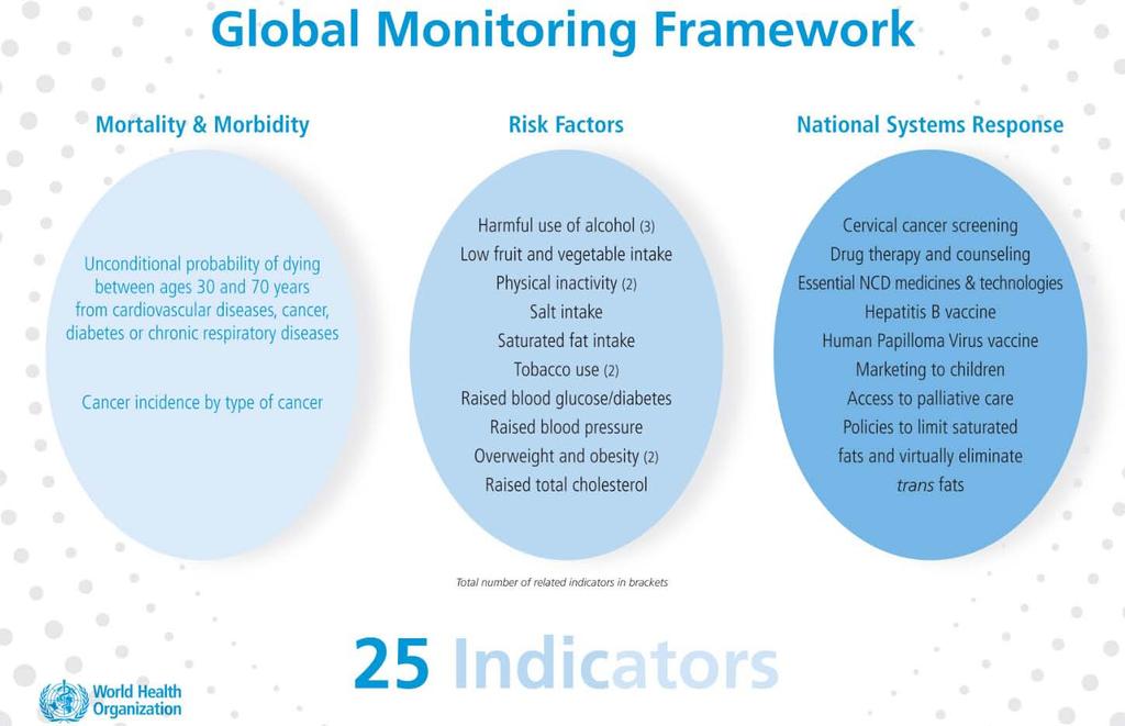 Comprehensive global monitoring framework including indicators