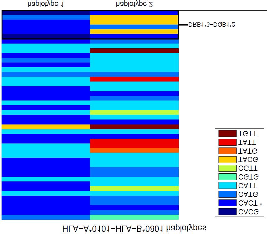 Supplementary Figure 1. Phased extended 8.1 haplotype structure of the HLA-DRB1*1501/HLA- DRB1*03-DQB1*02 (a) (b) (a) Extended 8.
