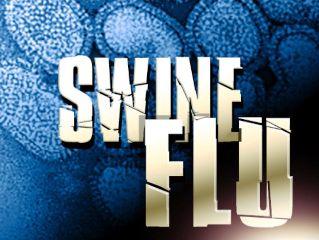 2 genes from swine flu 2 genes from avian flu 2 genes from human