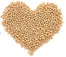 Proven and Proposed Cardiovascular Benefits of Soyfoods Mark Messina, PhD,