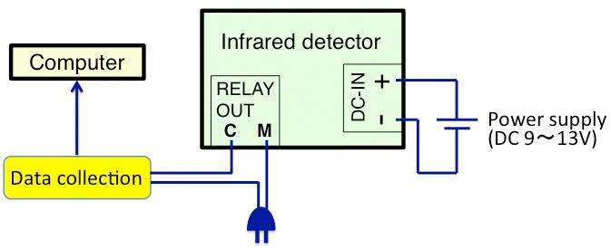 area sensor with an infrared detector (Figure 7). The activity rhythm can be analyzed using ClockLab software.