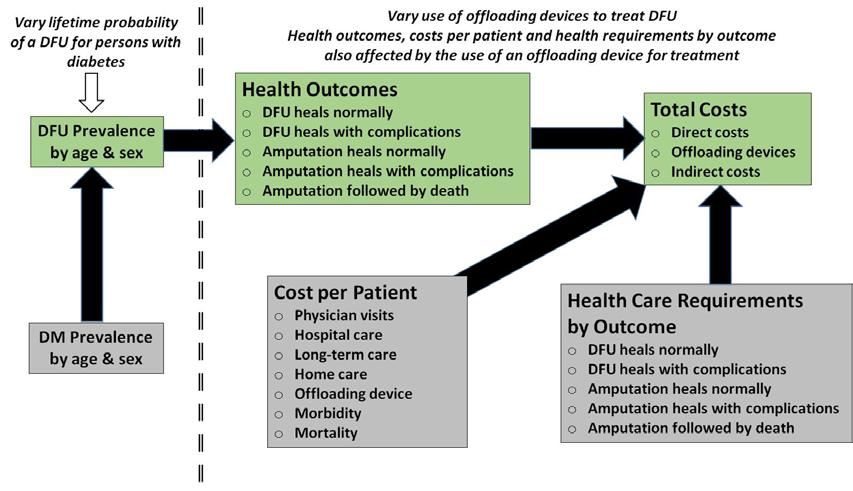 Model Assumptions A model was constructed to estimate the number of persons with DFU in British Columbia in 2016 and their health outcomes based whether or not they used an offloading device.