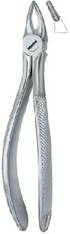 Tooth Extracting Forceps (eng)