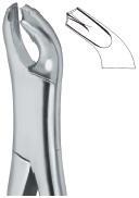 Tooth Extracting Forceps (amr) Molars