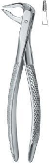 Tooth Extracting Forceps (eng) Lower