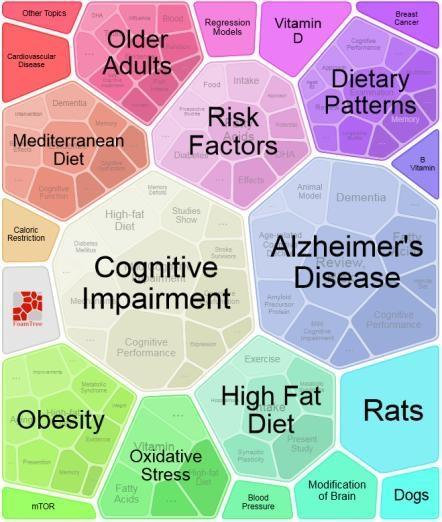 Lexical cluster analysis Terms: cognitive+decline+diet Database: PubMed Nutrition and the ageing brain It is becoming widely accepted that
