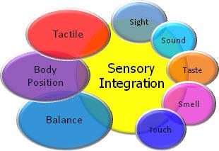 Sensory Issues Sensitive to sounds (may cover ears) including sounds you might not hear Self-stimulatory behavior (may rock back and forth, twirl or spin objects, flick fingers, wrists or