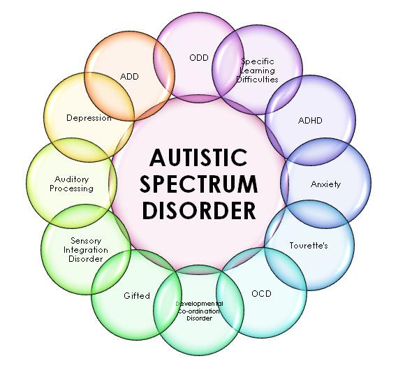 What is autism spectrum disorder (ASD)?