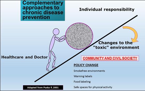 Figure 1 outlines the multidisciplinary approach that needs to be taken in order to successfully prevent chronic diseases.