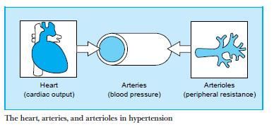 Pathophysiology - 1 Blood pressure - balance between CO and peripheral resistance In