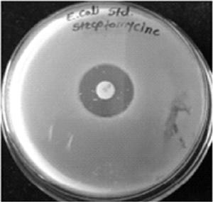 Int. J. Chem. Sci.: 14(4), 2016 2007 Table 5: Anti-bacterial activities at 25 mcg/disc Name of bacteria Standard streptomycin Substituted flavone E.coli 20 mm 9 mm S.