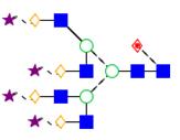 Glycoprotein BEH Amide 300Å 1.7 µm 5 - FA3G3S3 2 P c * = 101 ΔRT 1,4 = 11.54 min W h,avg = 6.