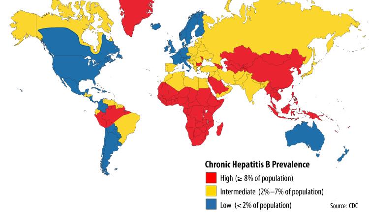 Chronic Hepatitis B Prevalence