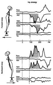Hip strategy Controls COG by producing large and rapid motions at the hip joints with antiphase reactions of the ankles Used to restore equilibirum in response to larger, faster perturbations or when