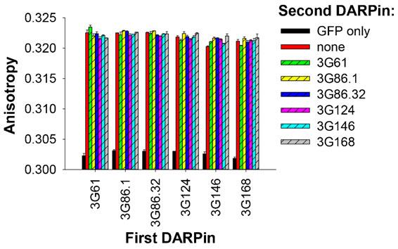 (2014) 000, 1 10 doi:10.1242/bio.201410041 Fig. S6. SPR does not show simultaneous binding of any two DARPins to GFP.