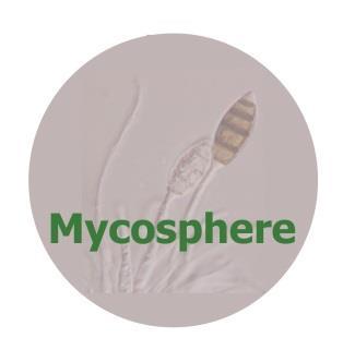 Mycosphere 8(8): 1210 1216 (2017) www.mycosphere.org ISSN 2077 7019 Article Doi 10.5943/mycosphere/8/8/17 Copyright Guizhou Academy of Agricultural Sciences Chrysosporium leigongshanense sp. nov.