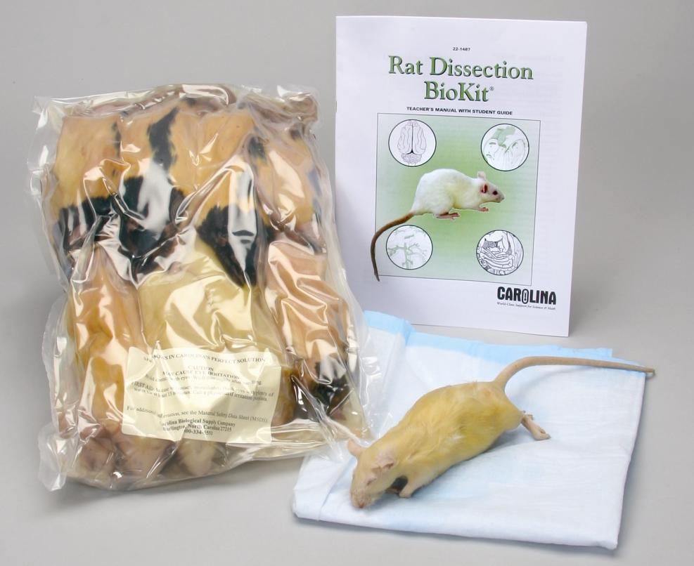 The Rat Dissection BioKit (catalog no.
