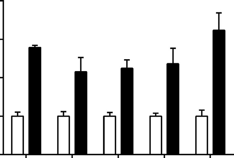 (h) Representative western blots showing the protein expression levels in primary IWAT adipocytes treated with vehicle or. ells were treated with drug for h. Values represent mean±s.e.m. Error bars represent s.