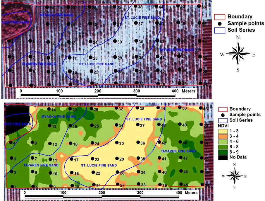 Figure 9. Example of grid sampling coupled with a soil map and resulting citrus yield map.