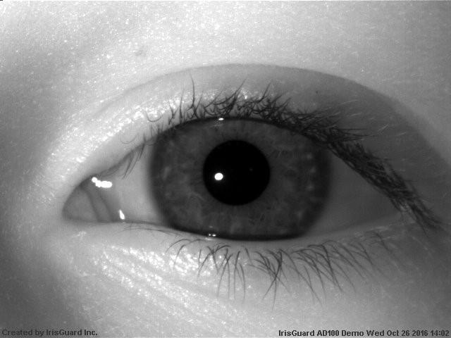 from collection 2, and the subject s left eye images from collection 3.
