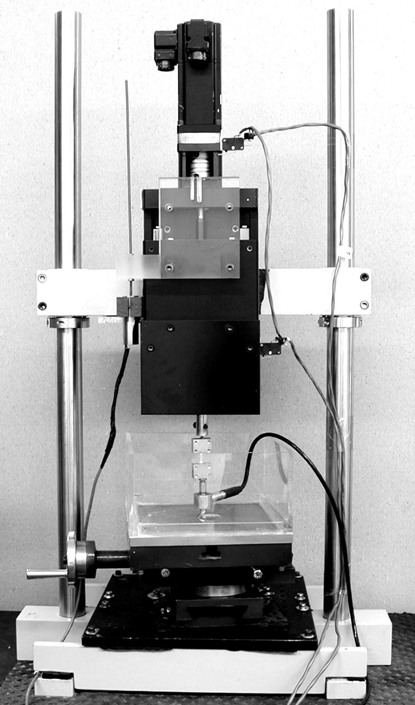 20 C B A D Figure 3.6. Custom design tensile test machine. Load cell (A), tissue specimen (B), linear variable differential transformer (LVDT) (C) and chamber (D).