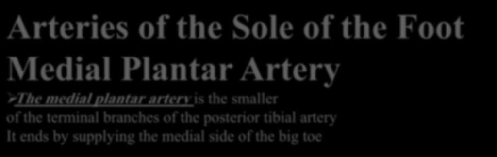 tibial artery It ends by supplying the medial side of the big toe