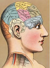 Searching for the self by studying the body Phrenology Phrenology (developed by
