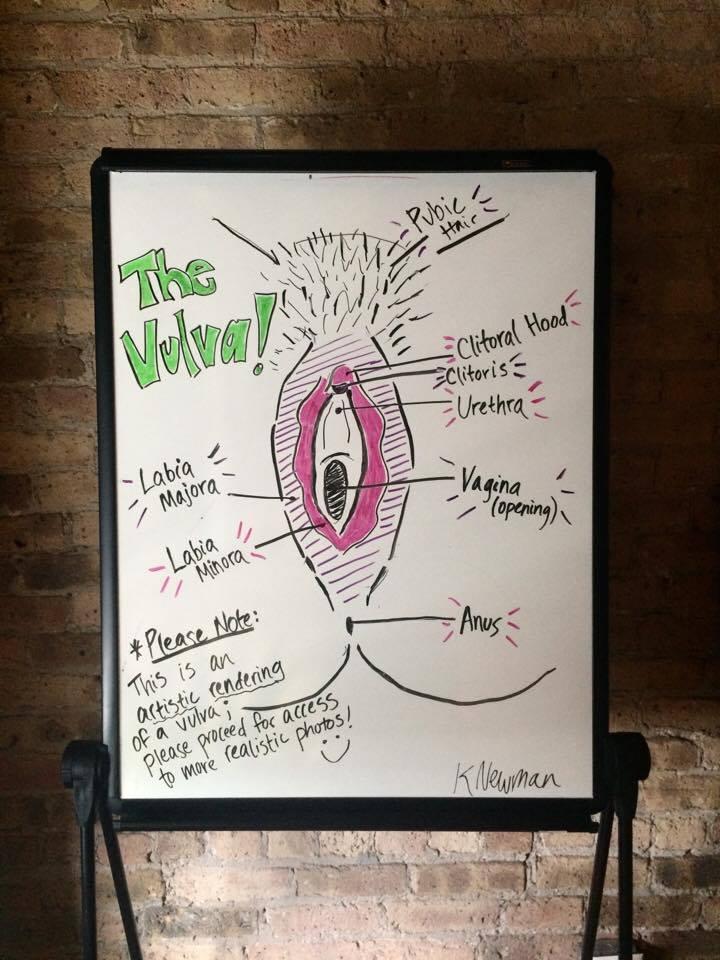 A Quick Anatomy Lesson! Vulva: This is the term for the female external (outer) genitalia. Lots of people call this area the vagina, but that s technically incorrect!