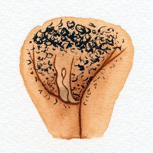 Online Resources The Vulva Gallery: Image taken from: https://www.thevulvagallery.com/ We are in love with these beautiful illustrations of different vulvas!